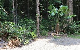 Forest Views